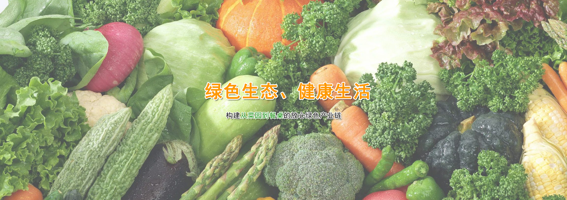 大图2