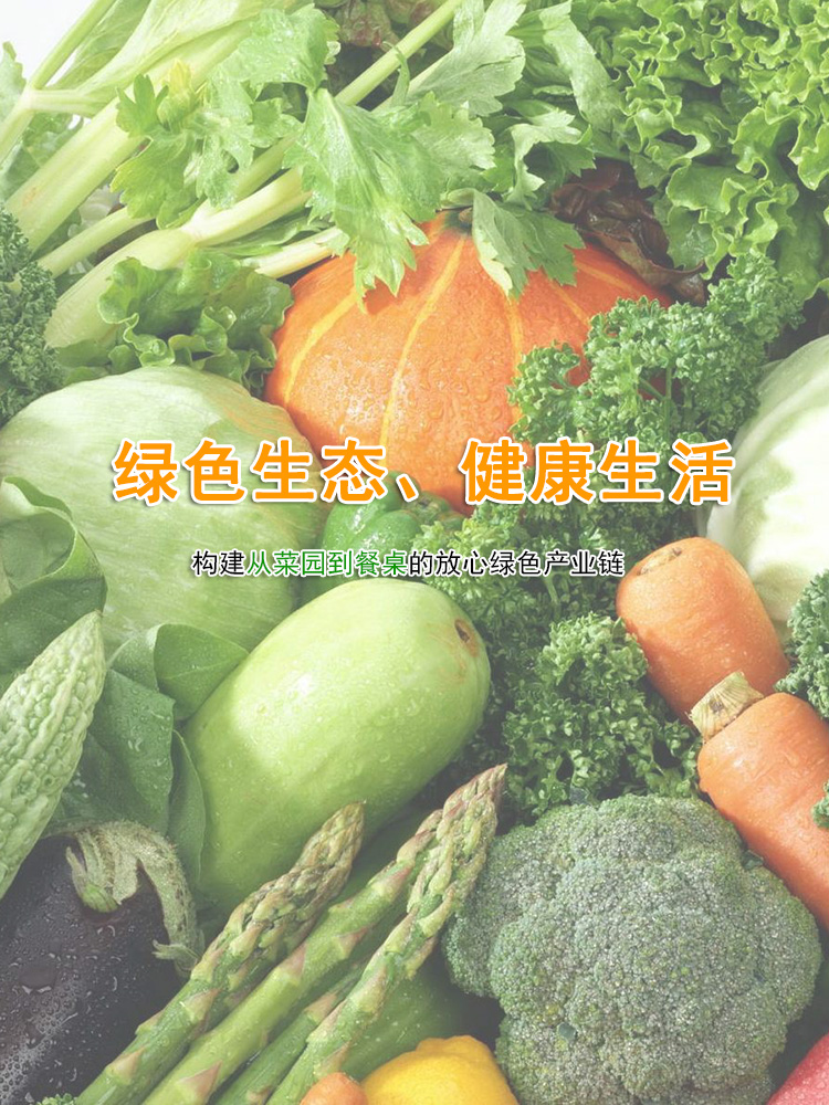 大图2